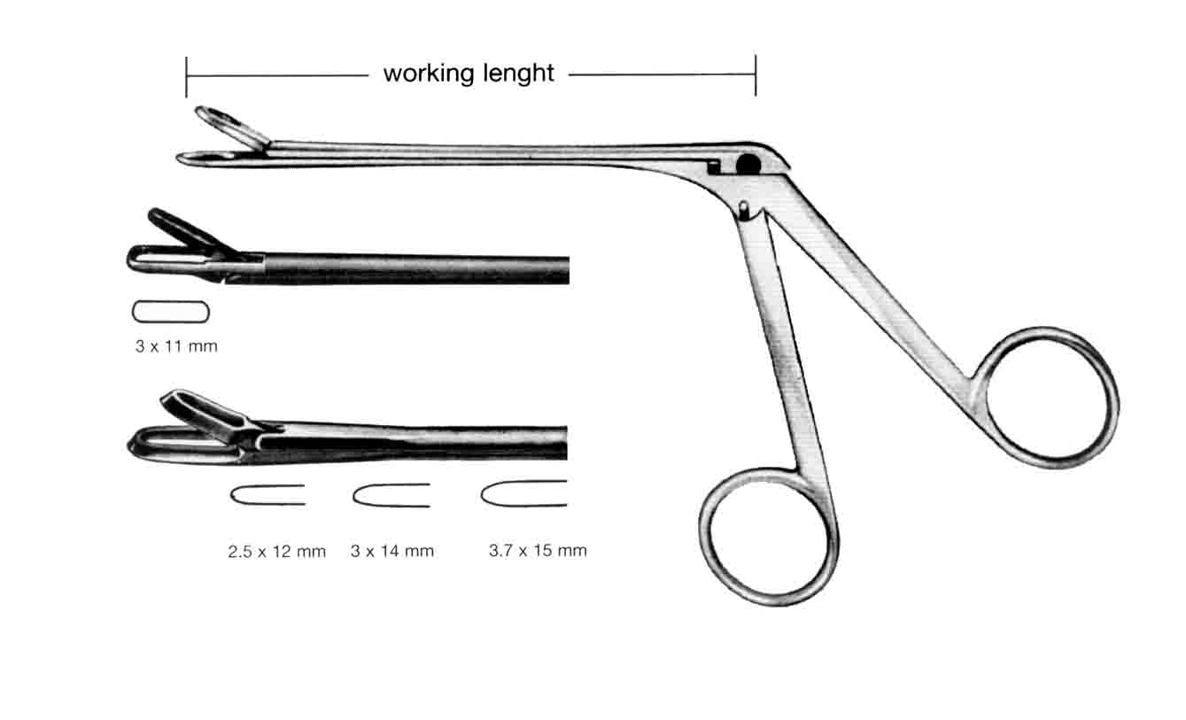 MYLES FORSEPS DÜZ 2.5X12MM 12CM